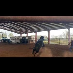 Meet your Posher, Austin